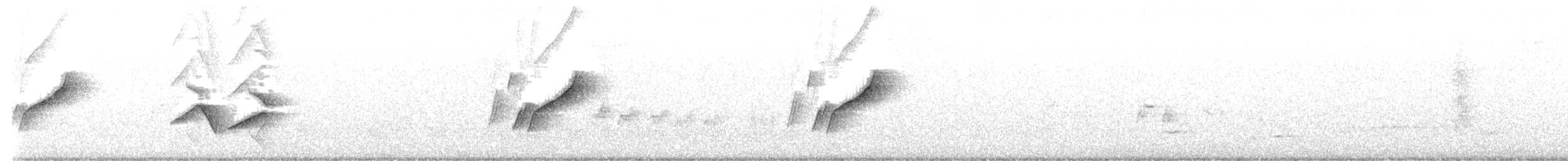 White-throated Swallow - ML645544194