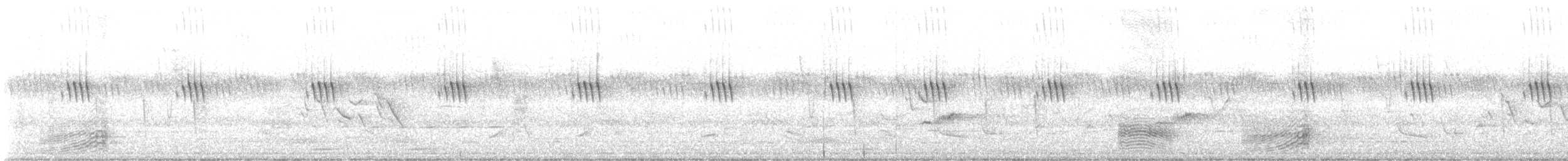 Broad-billed Roller - ML645544595