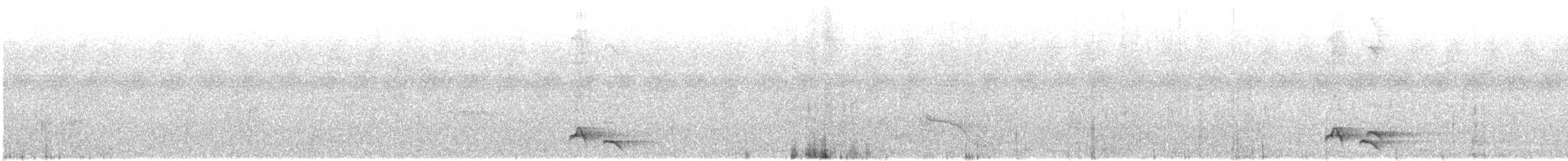 Spot-breasted Scimitar-Babbler - ML645544611