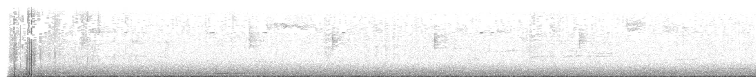 MacGillivray's Warbler - ML645544615