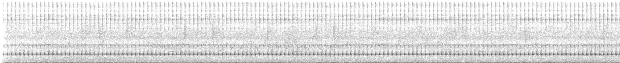 Хохлатая чубатка - ML645544656