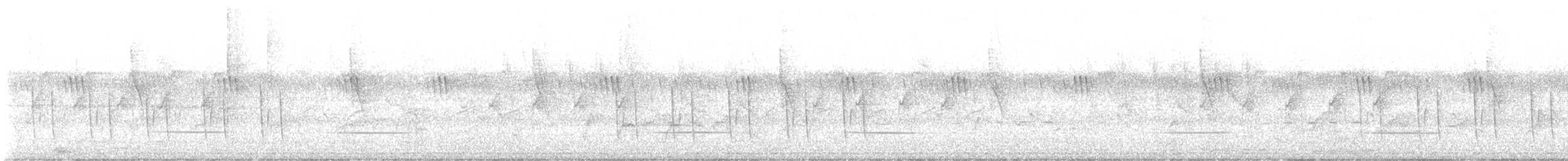 Широкохвостая терновница [группа brevicaudata] - ML645544727