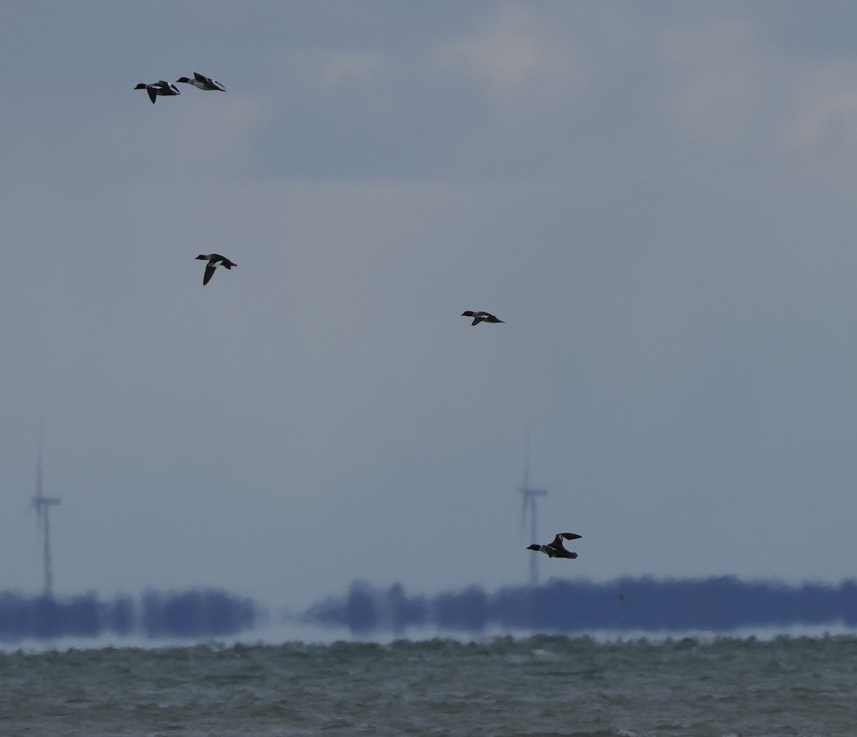 Altıngöz - ML645544728