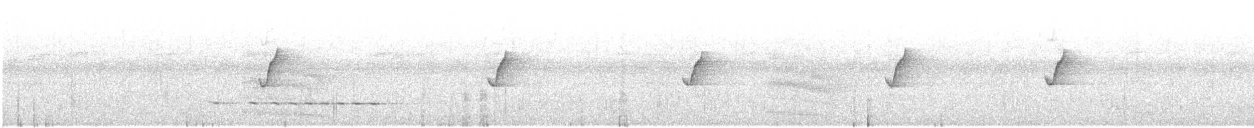 Hegaztia sp. - ML645544788