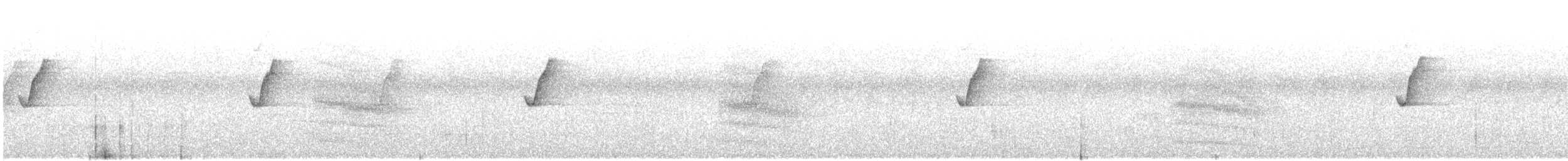 Hegaztia sp. - ML645544904