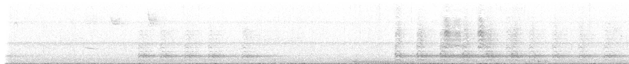 American Crow - ML645544980