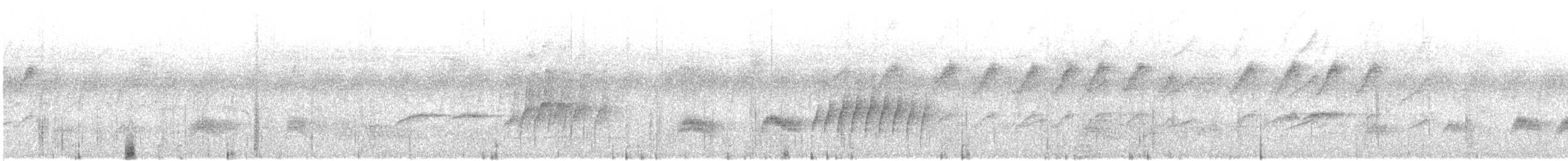 Hegaztia sp. - ML645545015