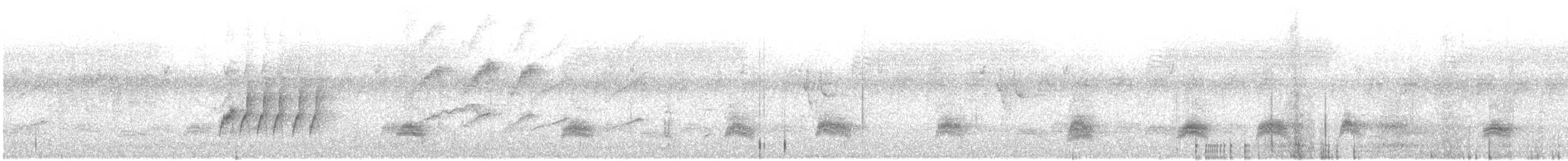 Hegaztia sp. - ML645545069