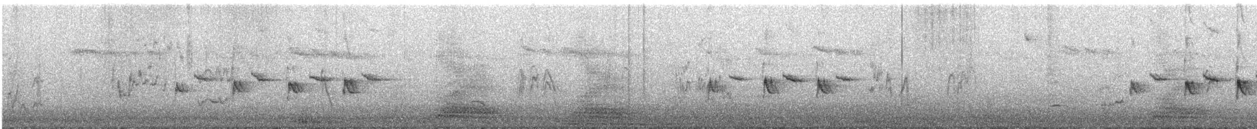 Mésange charbonnière - ML645545354