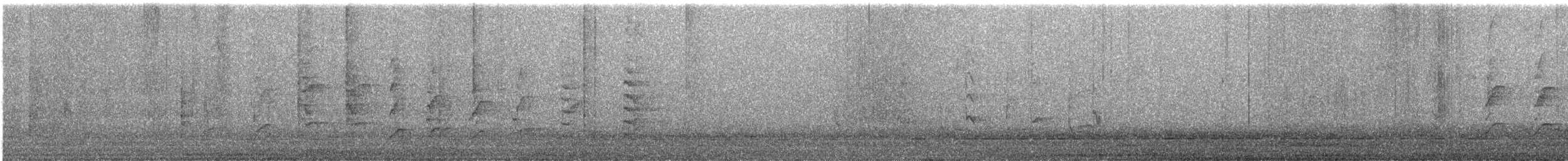 Pito Euroasiático - ML645545690