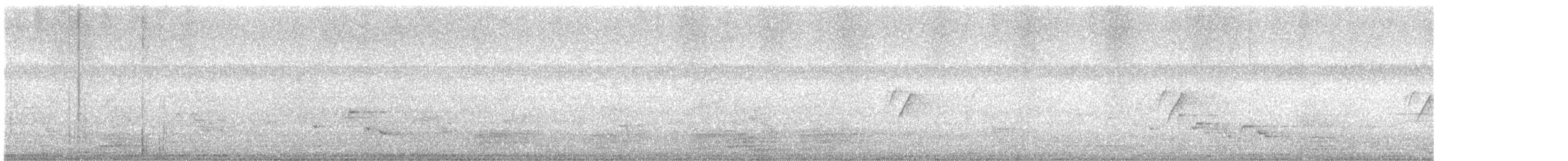 Suimanga Asiático - ML645545833