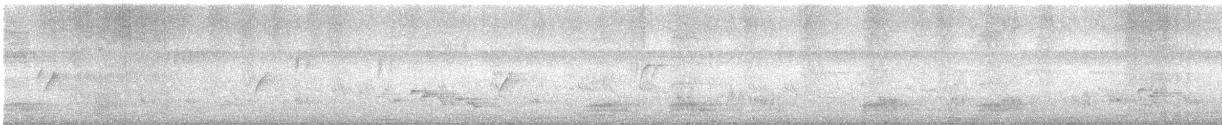 Suimanga Asiático - ML645545834