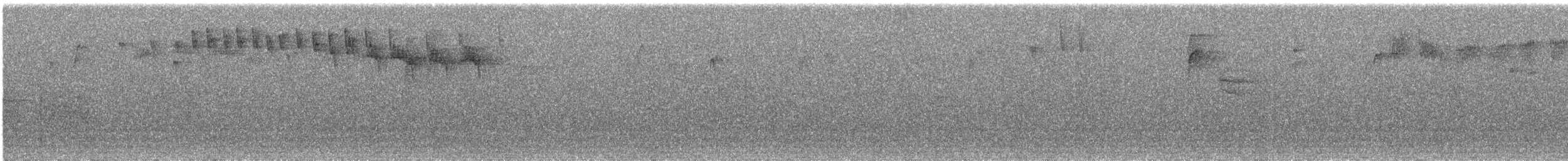 Reyezuelo Sencillo - ML645546701