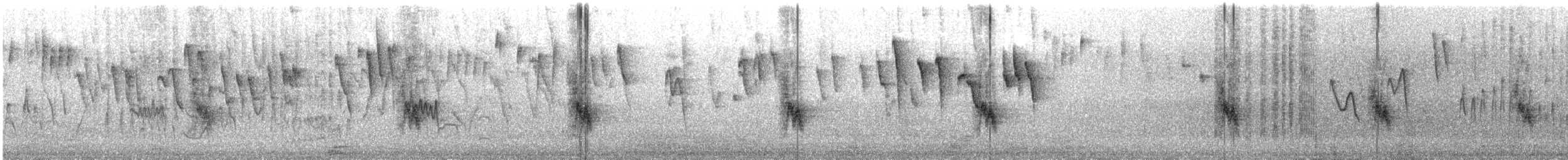 Gorrión Común - ML645546781