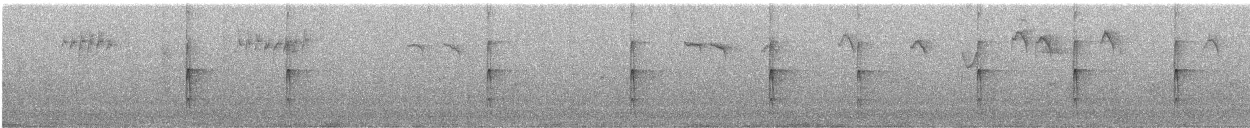 Pico Picapinos - ML645546897