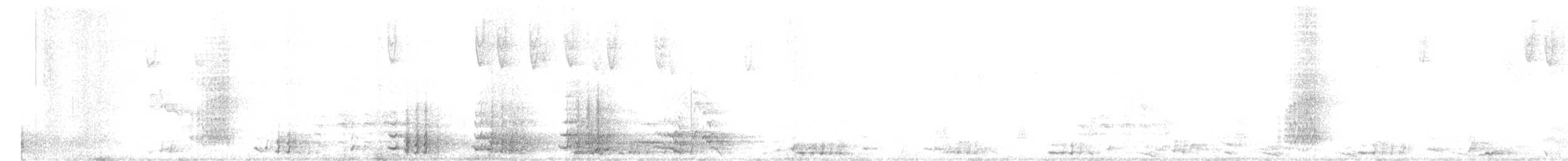 Guajolote Gallipavo - ML645546915