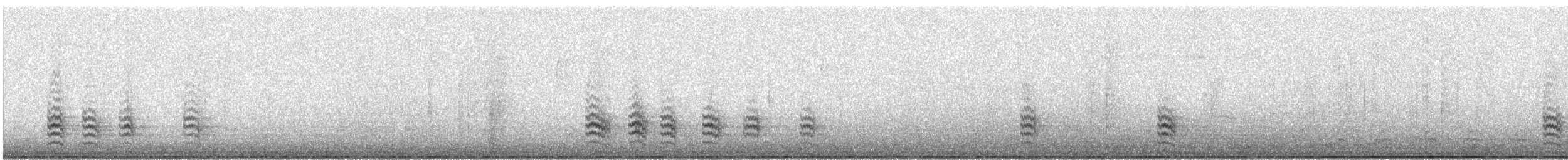 White-breasted Nuthatch - ML645547364