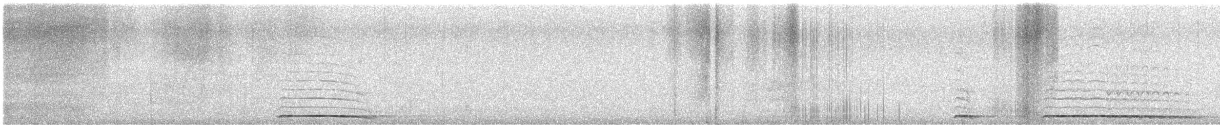 Chouette hulotte - ML645547430