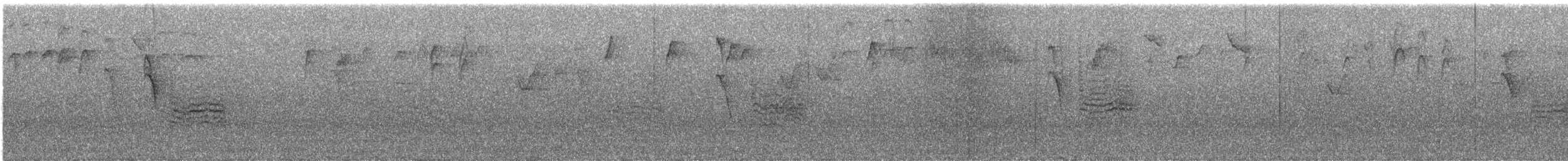 Weidenmeise - ML645547492