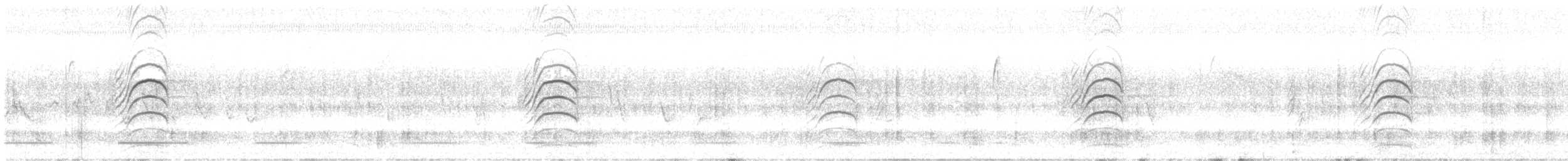 Schwefelmaskentyrann - ML645547508