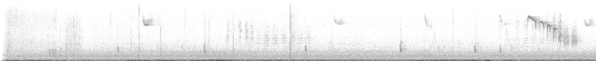 Einsiedler-Musendrossel - ML645547838