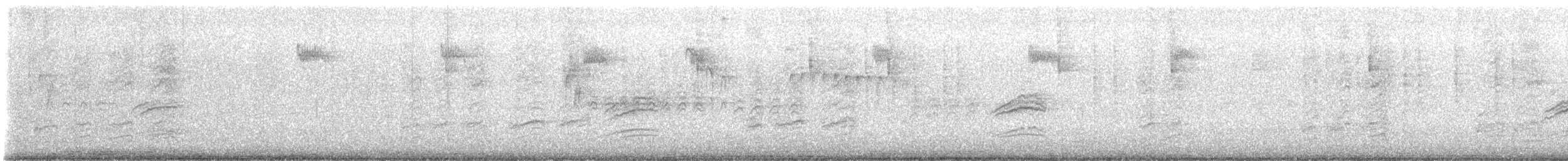 Einsiedler-Musendrossel - ML645547872