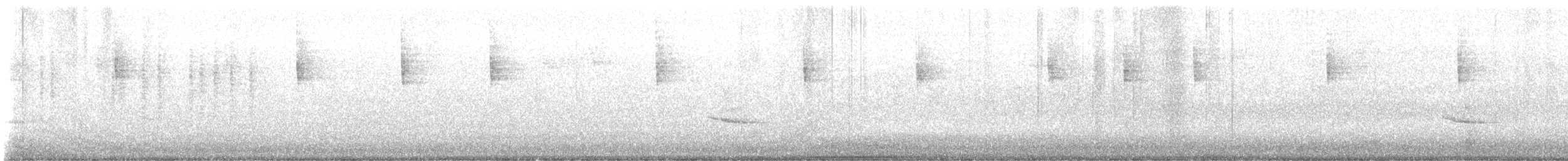 Einsiedler-Musendrossel - ML645547946