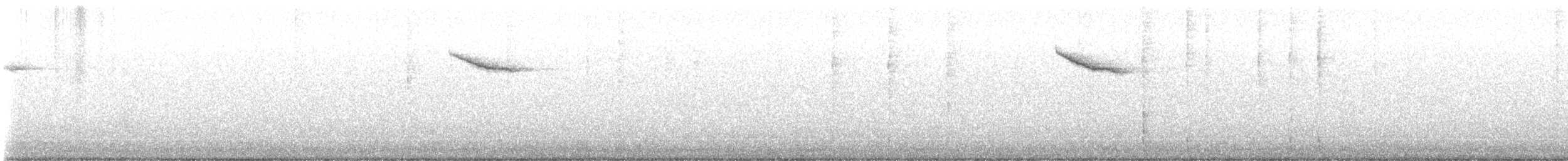 Einsiedler-Musendrossel - ML645547978