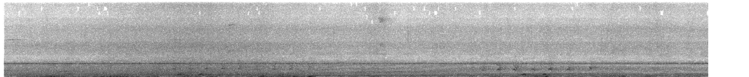 Diademmotmot - ML645547995