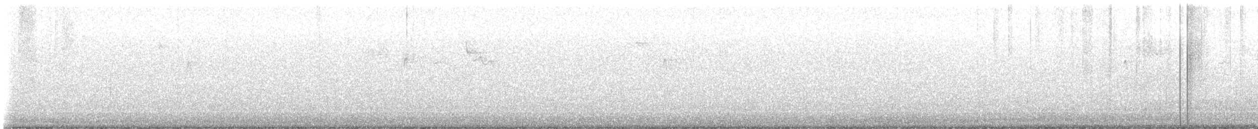 Amerikabaumläufer - ML645548049