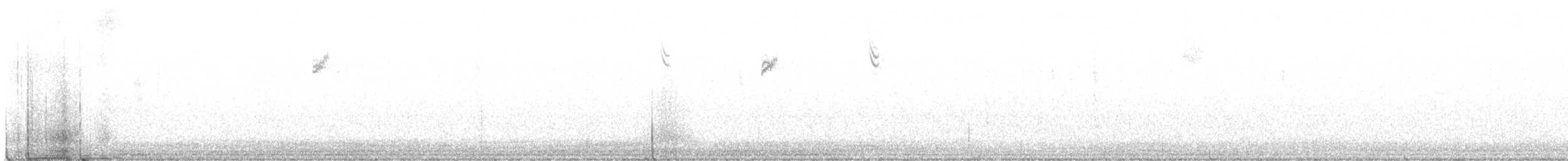 Бруант білобровий - ML645548066