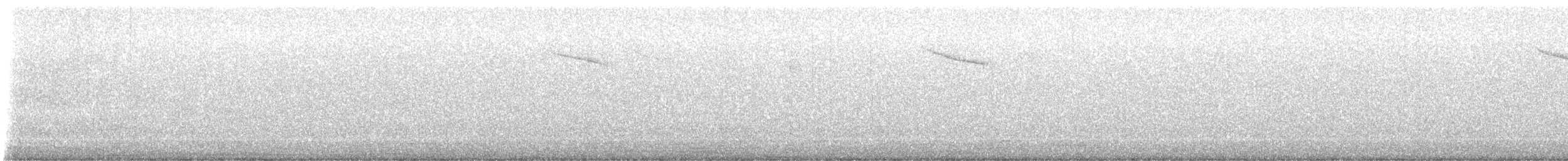 Дрізд-короткодзьоб плямистоволий - ML645548076