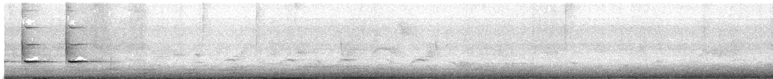 Trauerstärling - ML645548104