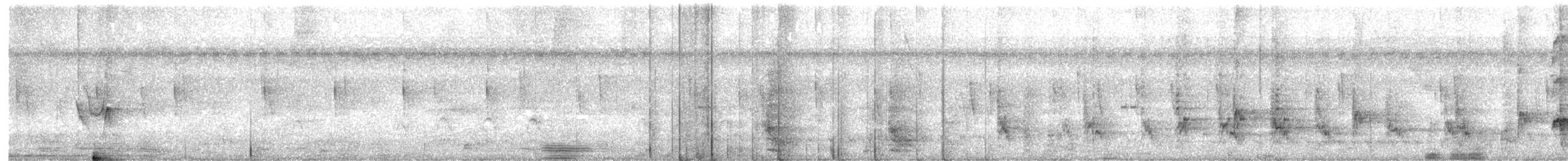 Трупіал жовтохвостий - ML645548189