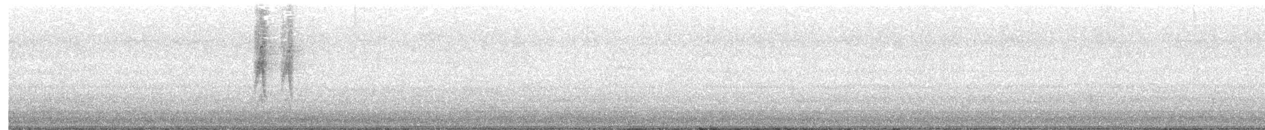 Wanderdrossel - ML645548225