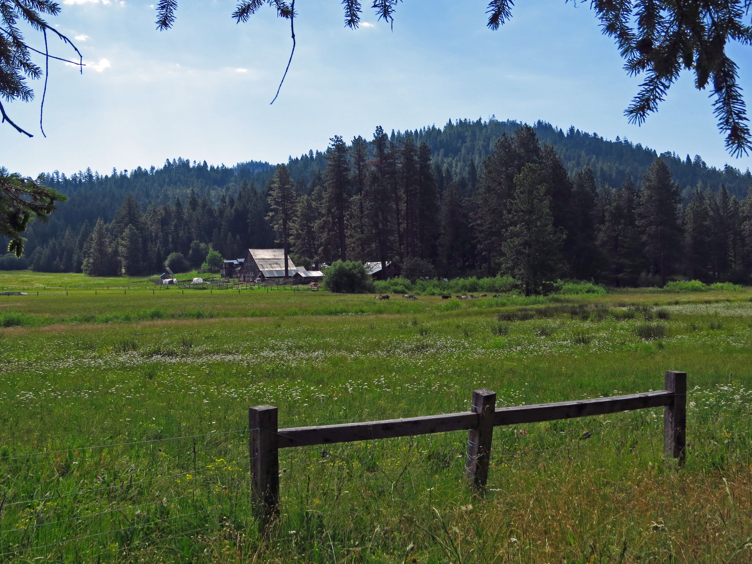 Willow-Witt Ranch - Jackson, Oregon, US - Birding Hotspots