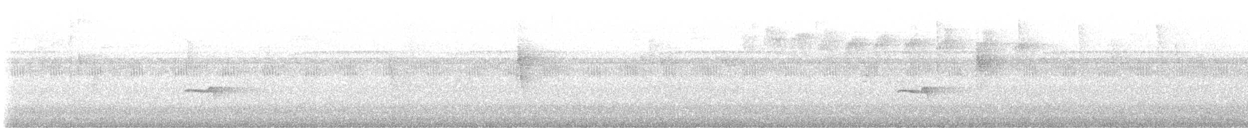 Mistletoe Tyrannulet - ML645550578