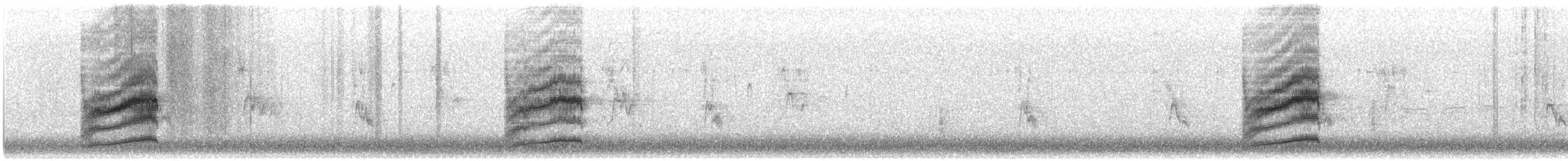 Пятнистый тохи - ML645550659