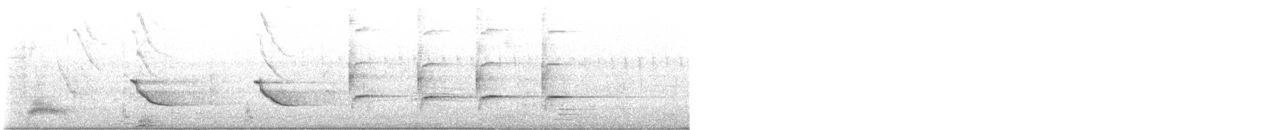 Melodious Blackbird - ML645550665