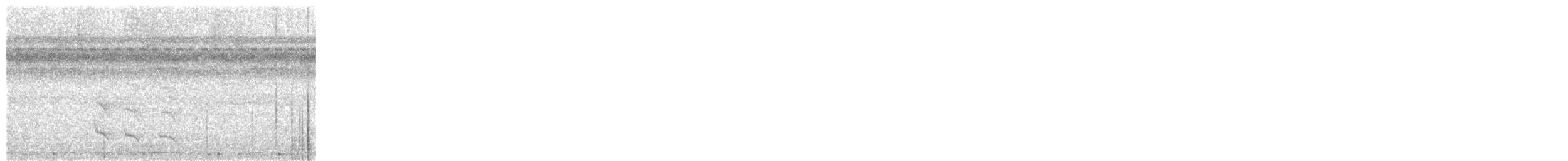 White-flanked Antwren - ML645550669