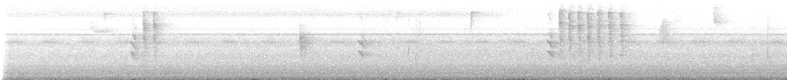 White-shouldered Tanager - ML645550691