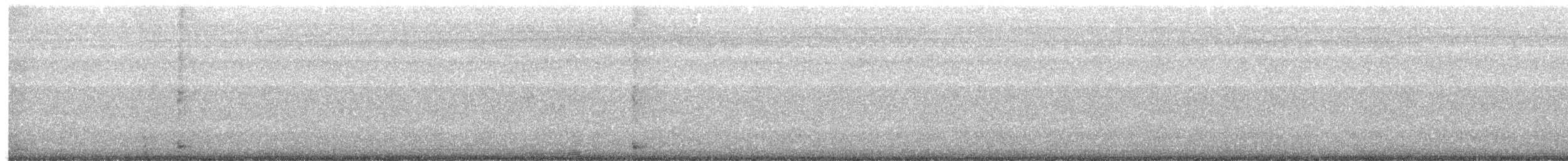 Greater Ani - ML645550769