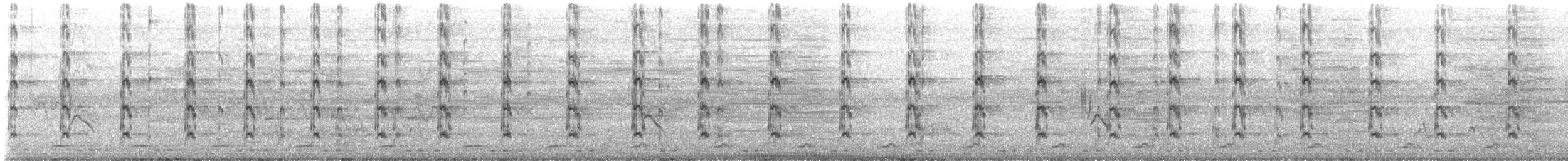 Blacksmith Lapwing - ML645551092