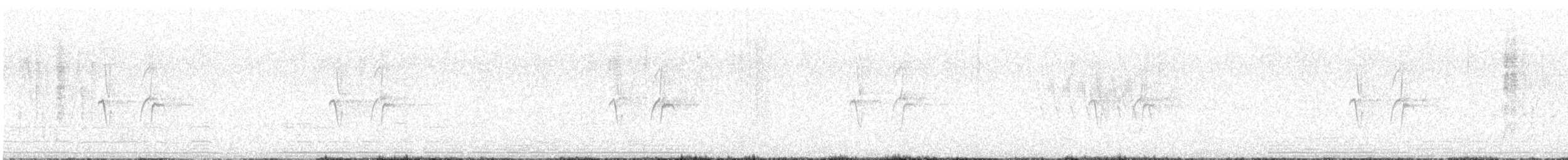 Red-tailed Comet - ML645551095