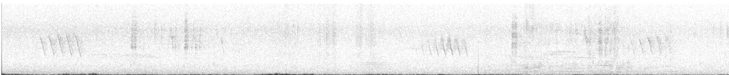 Red-tailed Comet - ML645551097