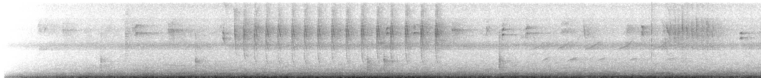 Mangrove Hummingbird - ML645551121