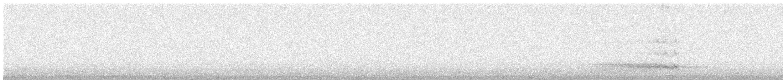 Western Barn Owl - ML645551159