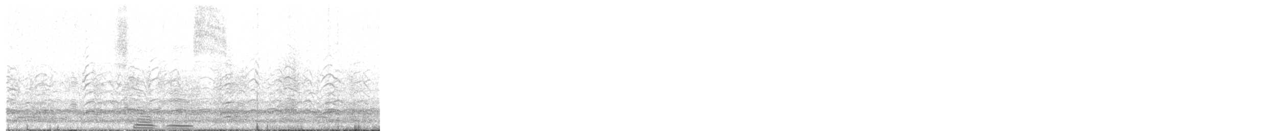 Snow Goose - ML645552069