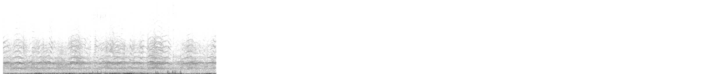 Snow Goose - ML645552071