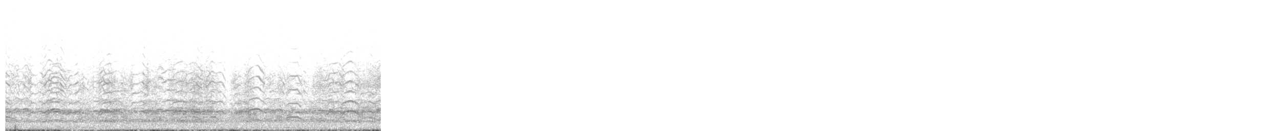 Snow Goose - ML645552072